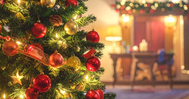 image for 🎄Christmas Coziness — A Peaceful Christmas Night Story | The Slow Life Podcast (# 75)