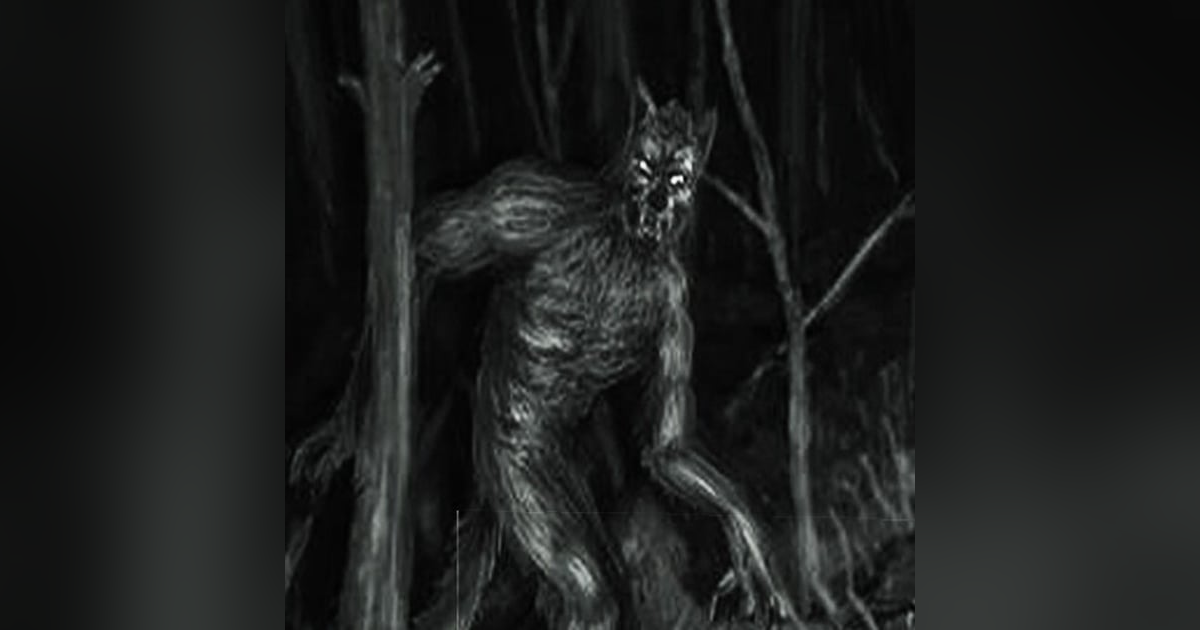 Nahuales En La Ciudad De México Historias De Terror - REDE Nahuales En La Ciudad De México Historias De Terror - REDE