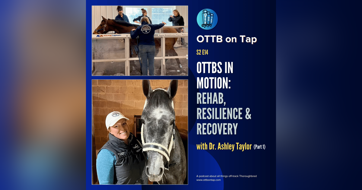 S2 E14: OTTBs in Motion: Rehab, Resilience & Recovery with Dr. Ashley Taylor (Part 1) S2 E14: OTTBs in Motion: Rehab, Resilience & Recovery with Dr. Ashley Taylor (Part 1)
