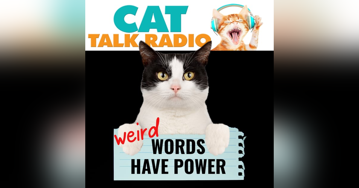 Fecal Euphoria, Sploots & Bunting: The Weird World of Cat Terms Fecal Euphoria, Sploots & Bunting: The Weird World of Cat Terms
