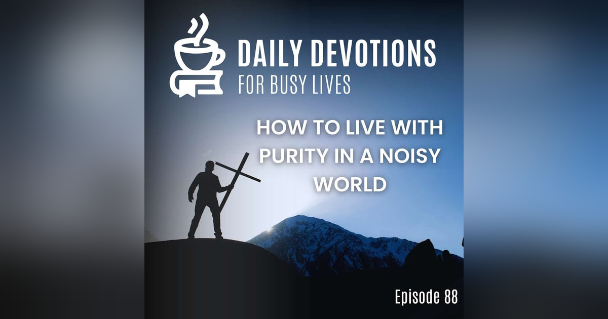 How to Live with Purity in a Noisy World How to Live with Purity in a Noisy World