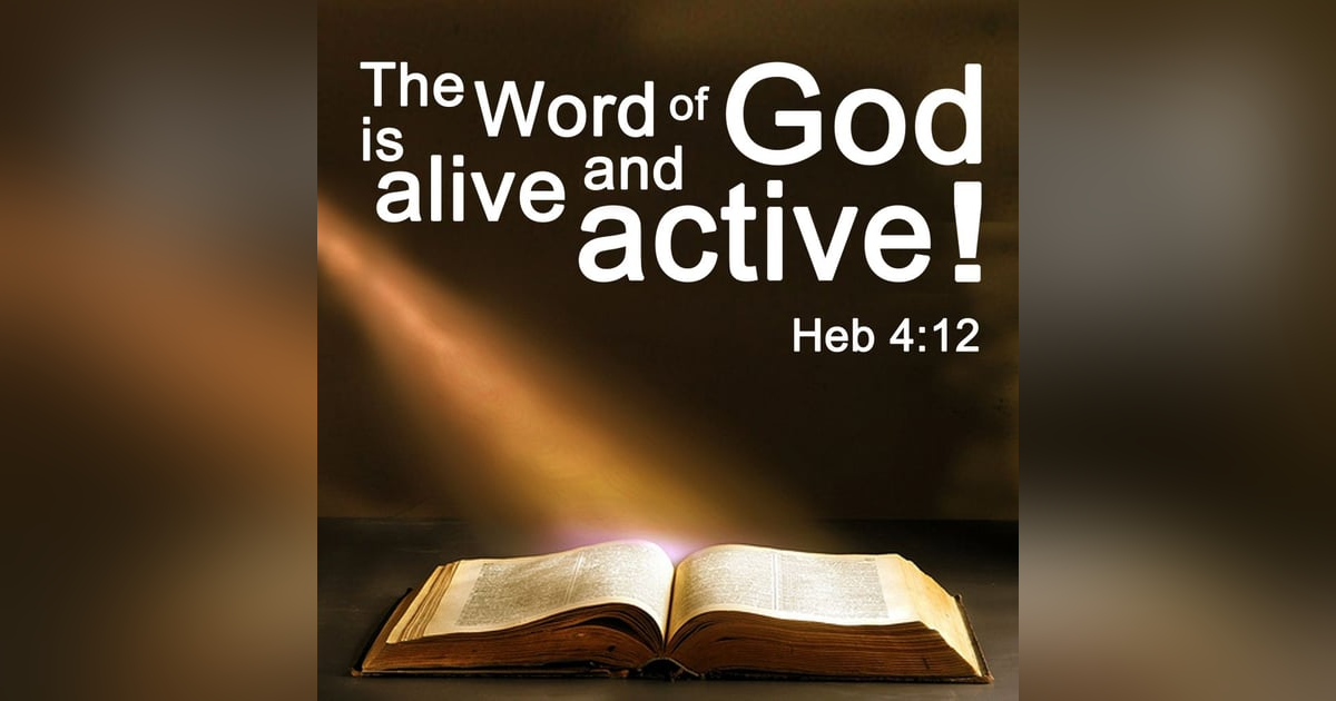 Bible 2021 Podcast, Episode #365: The Impact of Two Years of Daily Bible Reading Bible 2021 Podcast, Episode #365: The Impact of Two Years of Daily Bible Reading