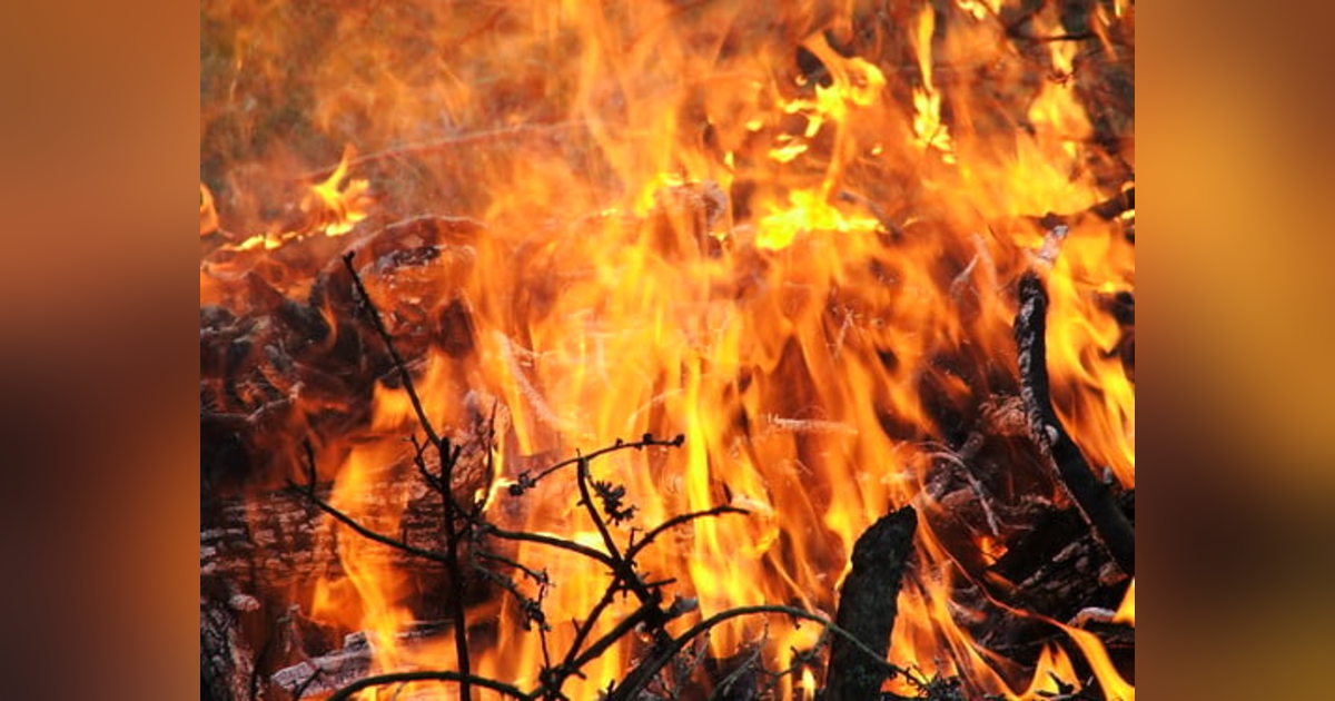 How Do We Fan Into Flame The Gift of God In Our Lives? Reading 2nd Timothy 1 #261 How Do We Fan Into Flame The Gift of God In Our Lives? Reading 2nd Timothy 1 #261