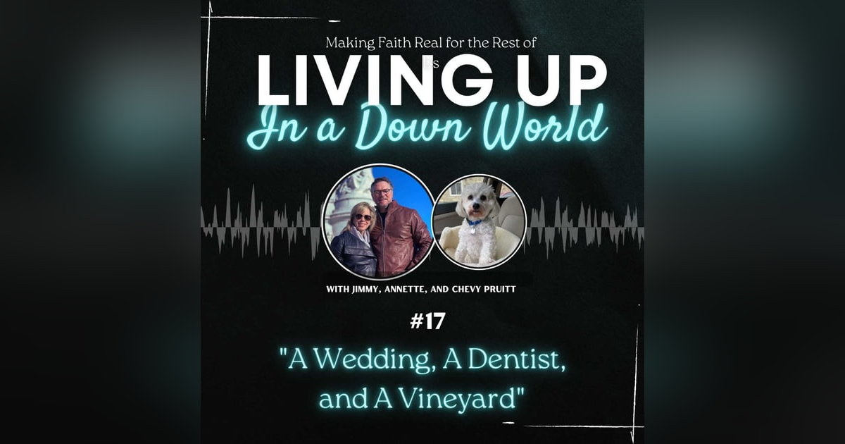 "A Wedding, A Dentist, and A Vineyard" "A Wedding, A Dentist, and A Vineyard"