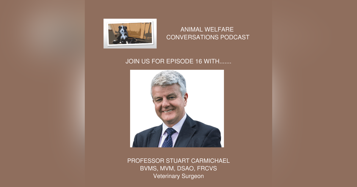 Episode 16 - Prof Stuart Carmichael - The impact of arthritis on animal welfare Episode 16 - Prof Stuart Carmichael - The impact of arthritis on animal welfare