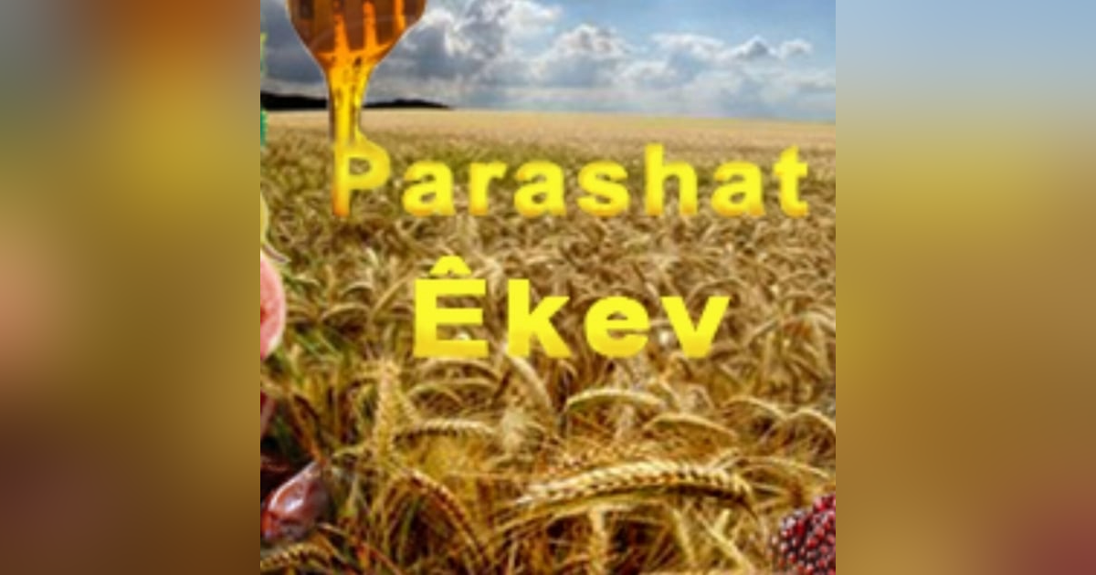 Parasha Eikev: Deut 7:12-11:25 Parasha Eikev: Deut 7:12-11:25
