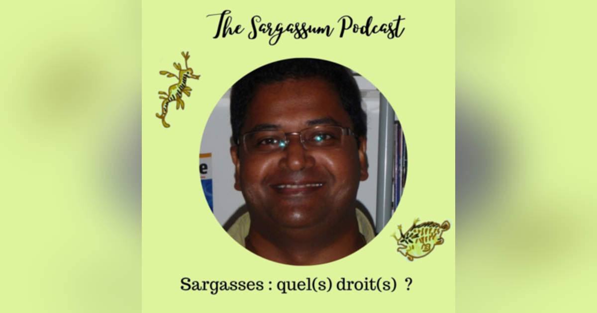 E38 : Sargasses : quel(s) droit(s) ? avec Victor David PhD. E38 : Sargasses : quel(s) droit(s) ? avec Victor David PhD.