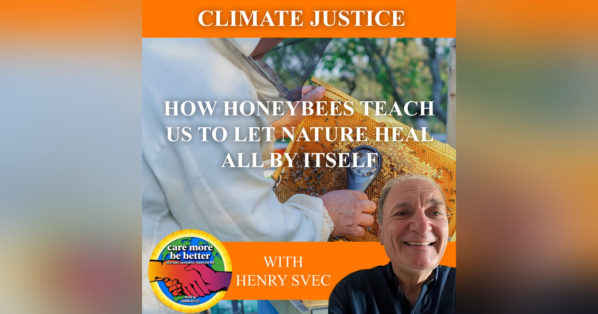 How Honeybees Teach Us To Let Nature Heal All By Itself With Henry Svec How Honeybees Teach Us To Let Nature Heal All By Itself With Henry Svec