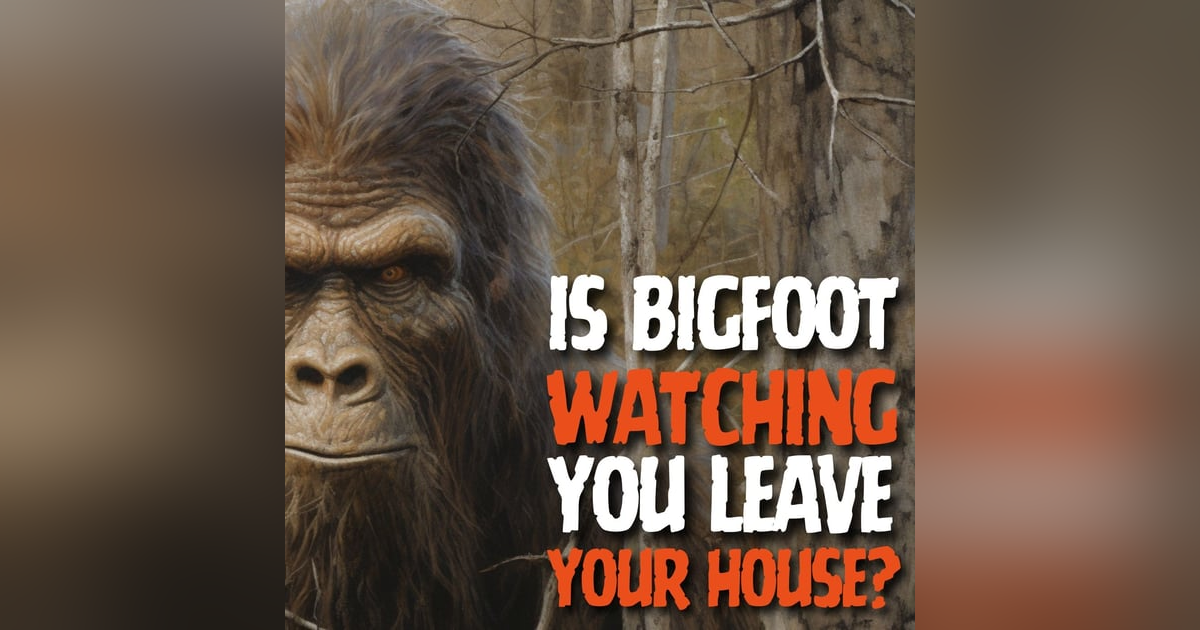 Sasquatch Encounters with Norma and Bob in Worcester County, Massachusetts Sasquatch Encounters with Norma and Bob in Worcester County, Massachusetts