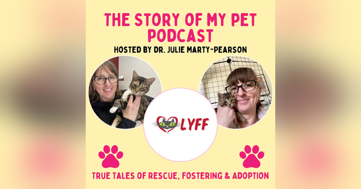 image for Beyond Fostering: Creative Ways You Can Help Cat Rescues