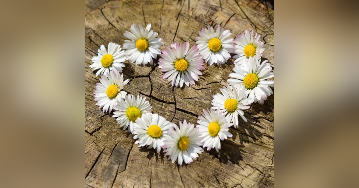 Yes, You CAN Manifest Love - Suzie The Dating Diva Sept 2, 2021 Yes, You CAN Manifest Love - Suzie The Dating Diva Sept 2, 2021