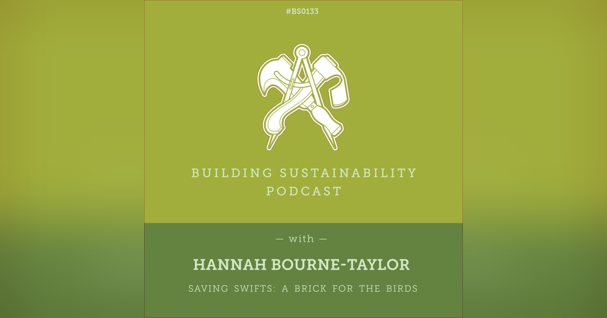 Saving Swifts: A Brick for the Birds - Hannah Bourne-Taylor - BS133 Saving Swifts: A Brick for the Birds - Hannah Bourne-Taylor - BS133