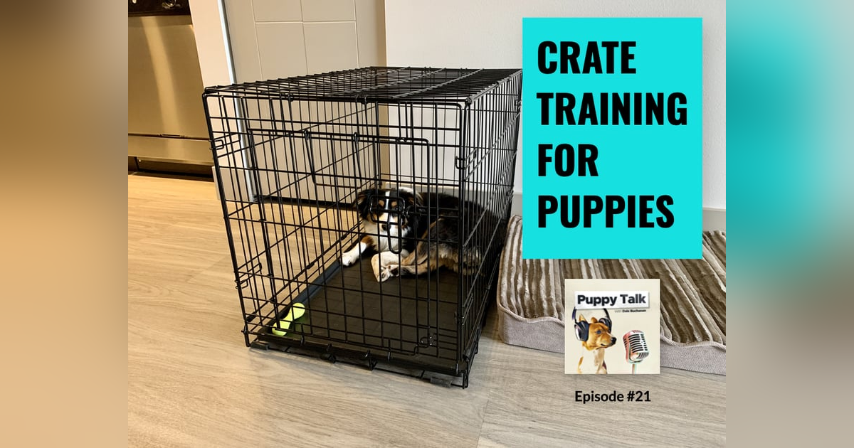 Crate Training for Puppies Crate Training for Puppies