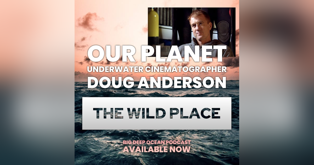 The Wild Place - Underwater cinematographer Doug Anderson on how the ocean has defined his life on films such as "Our Planet", "Frozen Planet", and "Life" The Wild Place - Underwater cinematographer Doug Anderson on how the ocean has defined his life on films such as "Our Planet", "Frozen Planet", and "Life"