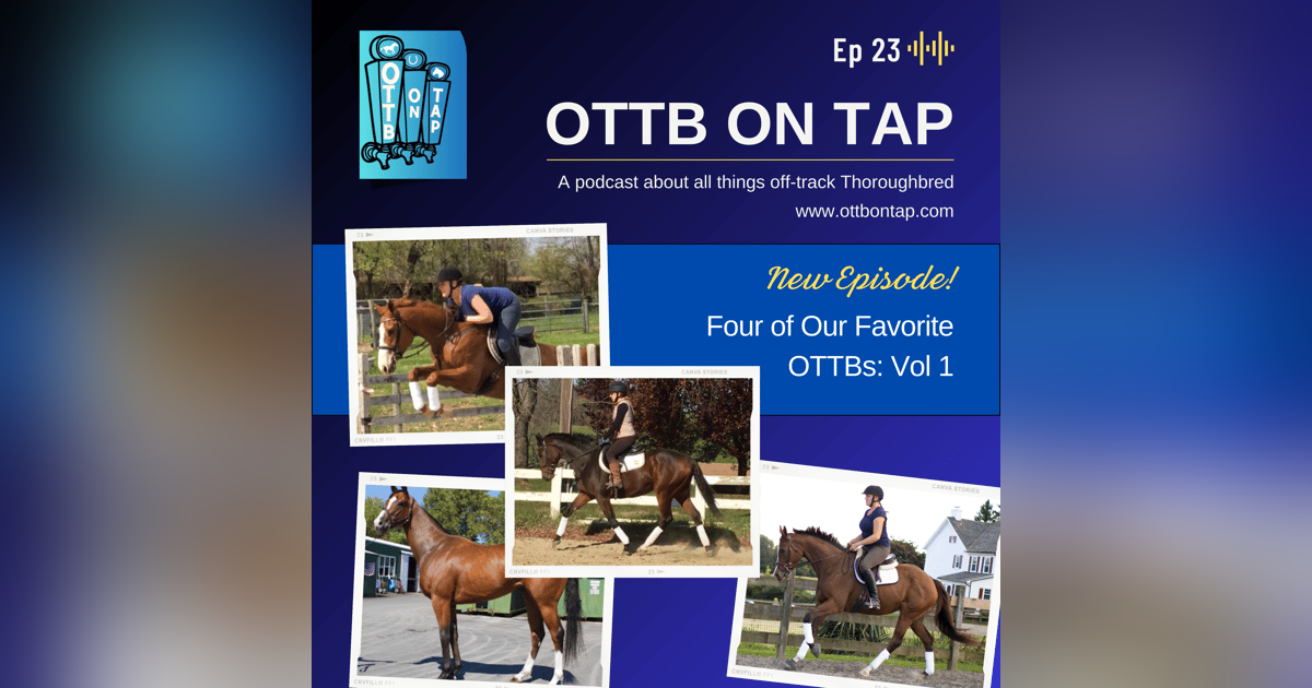 Ep 23: 4 of our Favorite OTTBs, Vol 1 Ep 23: 4 of our Favorite OTTBs, Vol 1