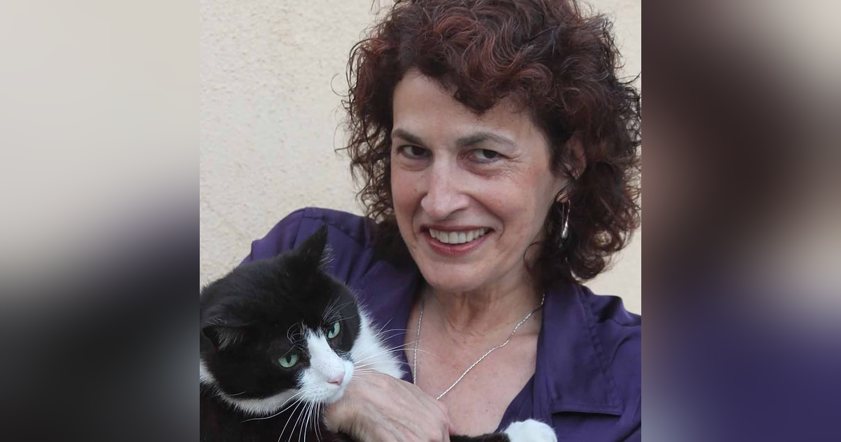 The Secret of Lost Cats - Muzzle Recognition Technology The Secret of Lost Cats - Muzzle Recognition Technology
