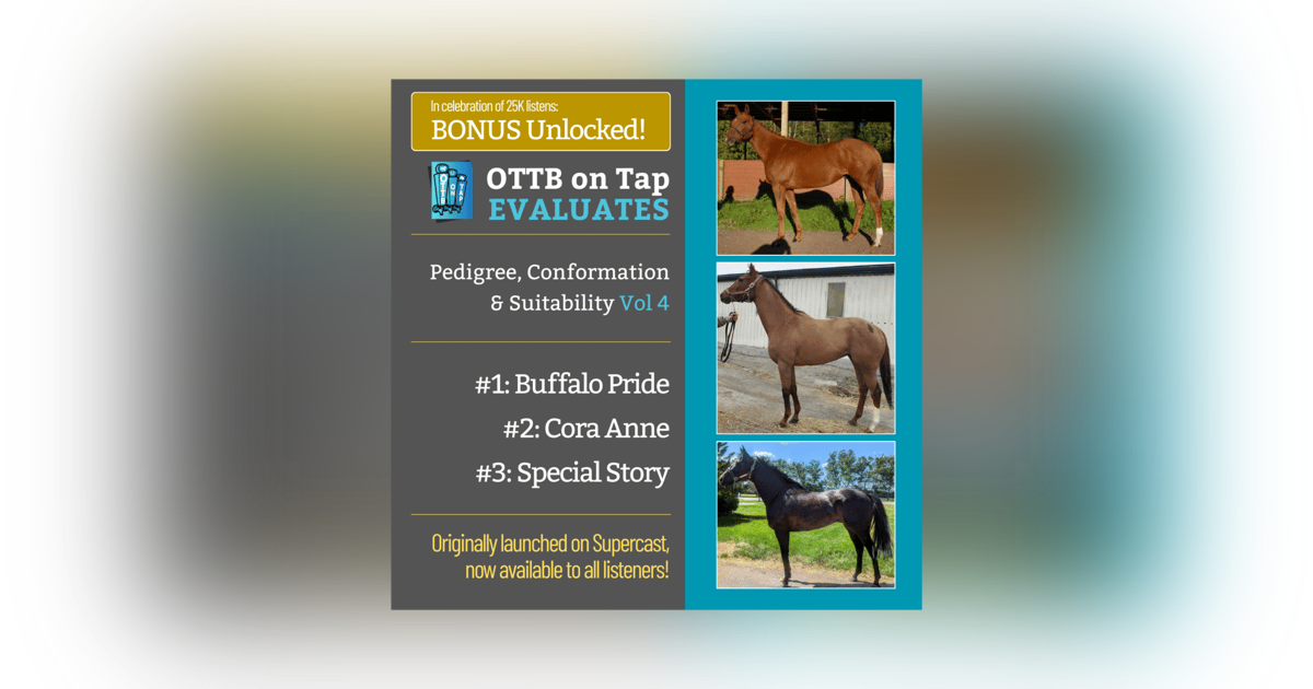 S2 E22: BONUS: Unlocked! OTTB on Tap Evaluates Vol. 4 — From Lightly Raced to Warhorses S2 E22: BONUS: Unlocked! OTTB on Tap Evaluates Vol. 4 — From Lightly Raced to Warhorses