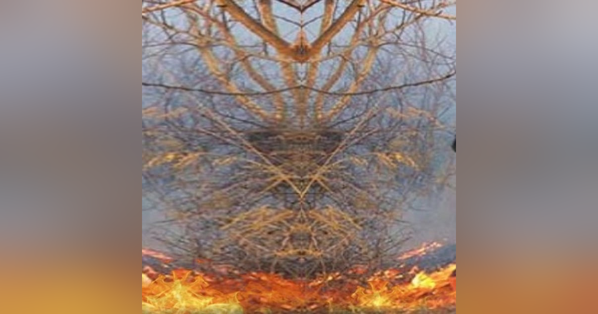 Quemaduras Enfrentamiento Con Brujas Historias De Terror - REDE Quemaduras Enfrentamiento Con Brujas Historias De Terror - REDE