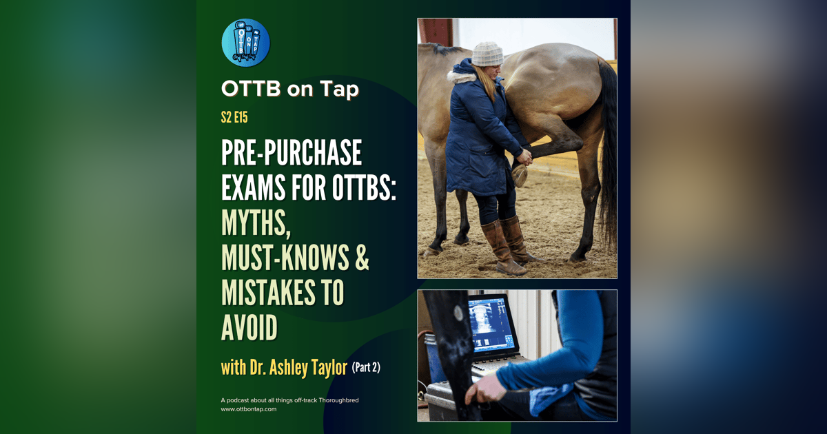 S2 E15: Pre-Purchase Exams for OTTBs: Myths, Must-Knows & Mistakes to Avoid with Dr. Ashley Taylor (Part 2) S2 E15: Pre-Purchase Exams for OTTBs: Myths, Must-Knows & Mistakes to Avoid with Dr. Ashley Taylor (Part 2)