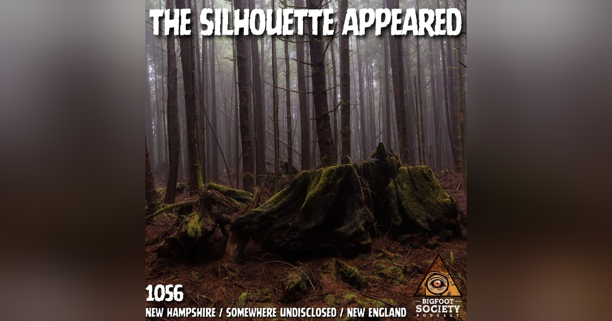White Mountains of New Hampshire: Cloaking, Telepathy, and a Massive Forest Encounter White Mountains of New Hampshire: Cloaking, Telepathy, and a Massive Forest Encounter
