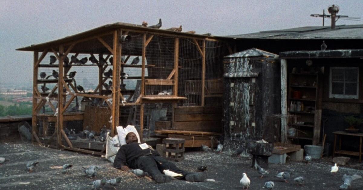 Ghost Dog: The Way of the Samurai & Samurai Jack Ghost Dog: The Way of the Samurai & Samurai Jack