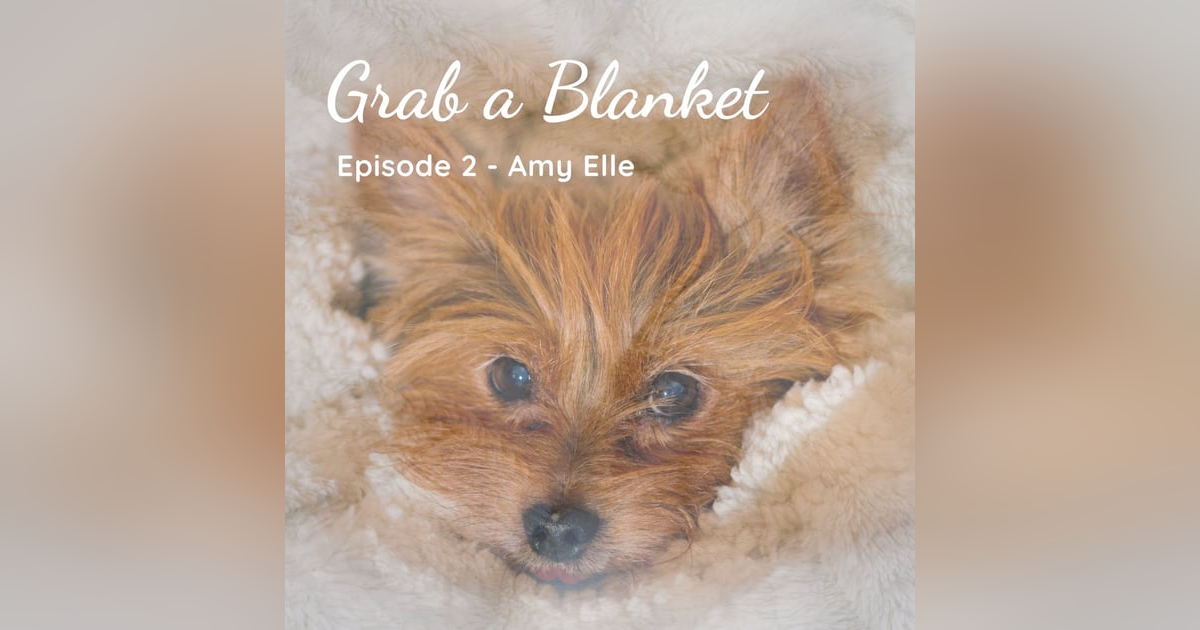 Grab a Blanket - Amy Elle (The Activity Continues, Volsteadland, Collected Sounds) Grab a Blanket - Amy Elle (The Activity Continues, Volsteadland, Collected Sounds)