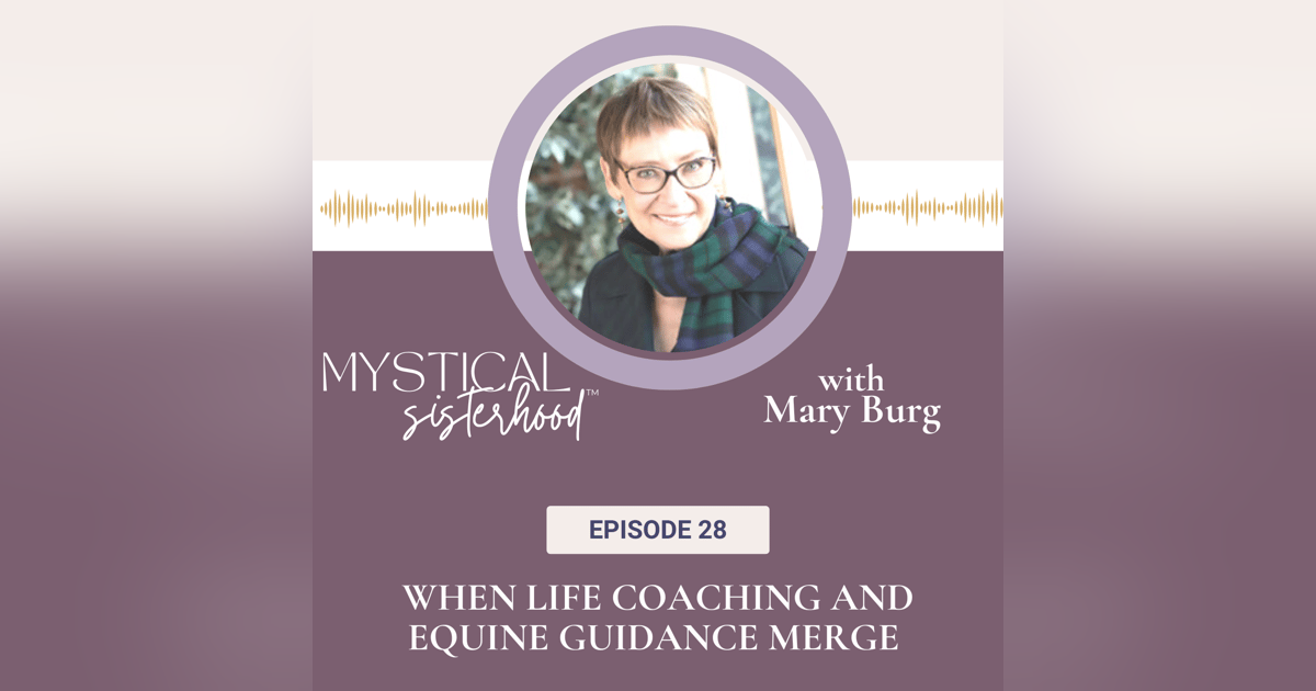 When Life Coaching And Equine Guidance Merge With Mary Burg When Life Coaching And Equine Guidance Merge With Mary Burg