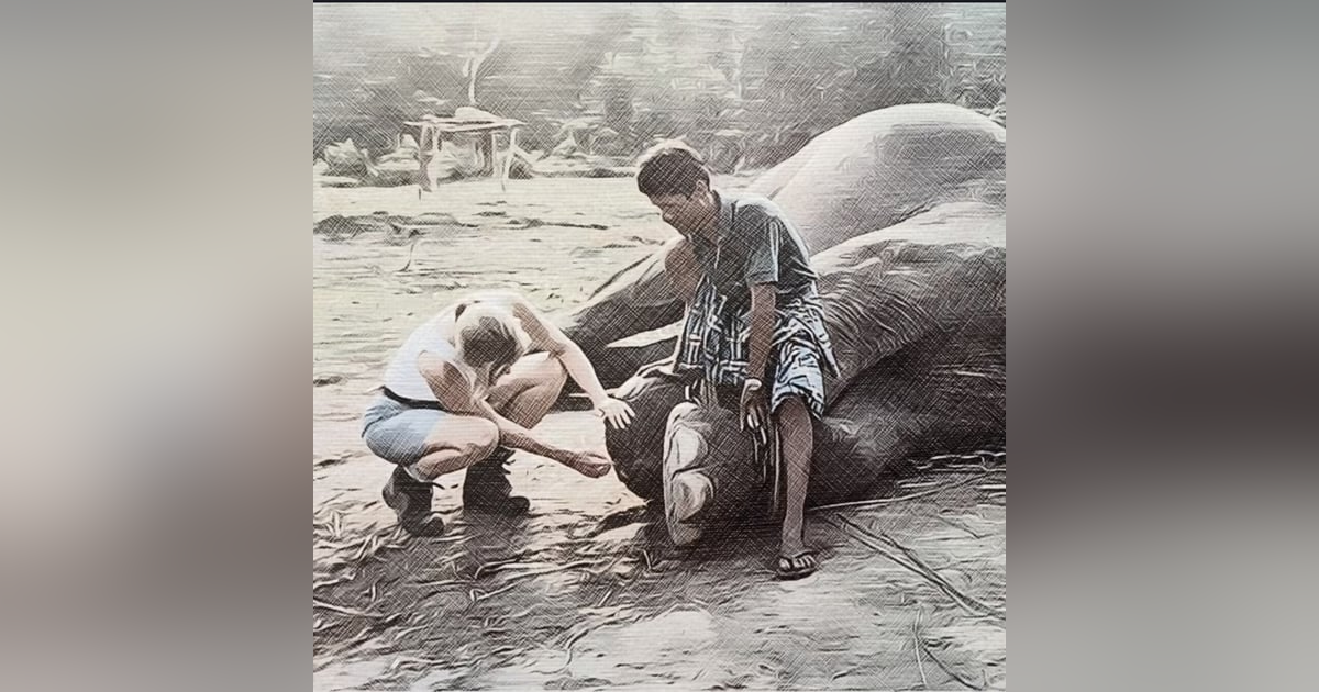 # 63: A walk on the wild side, with Dr Rosie Booth. # 63: A walk on the wild side, with Dr Rosie Booth.