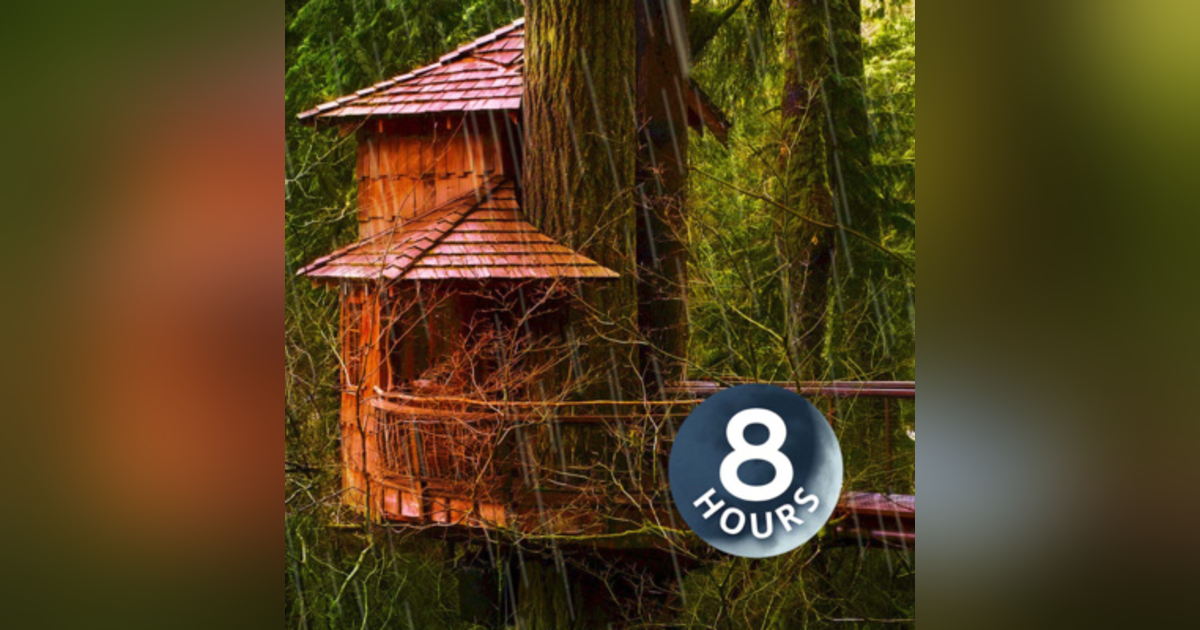 Noise of Rain for Sleep | Storm Sounds in Woods White Noise 8 Hours Noise of Rain for Sleep | Storm Sounds in Woods White Noise 8 Hours