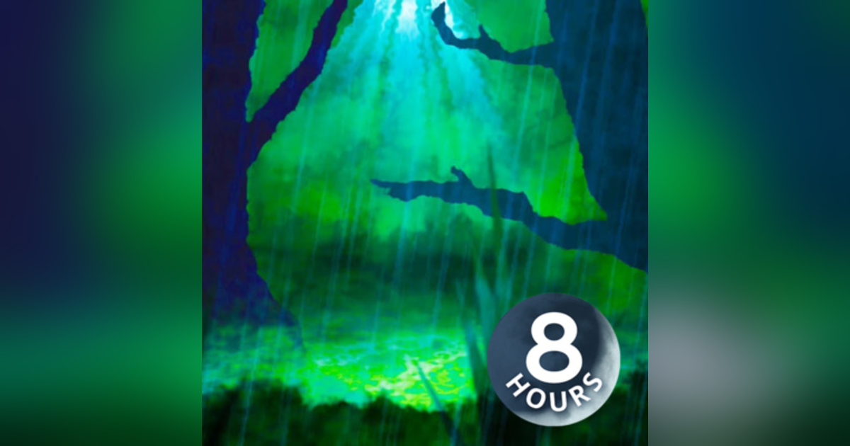 Rain Sounds in Forest 8 Hours | White Noise Sleep or Study Aid | Rainstorm Rain Sounds in Forest 8 Hours | White Noise Sleep or Study Aid | Rainstorm