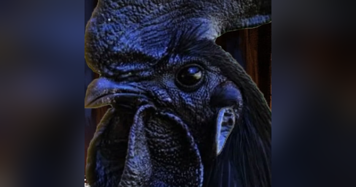 Caldo De Gallo Negro Historias De Terror - REDE Caldo De Gallo Negro Historias De Terror - REDE