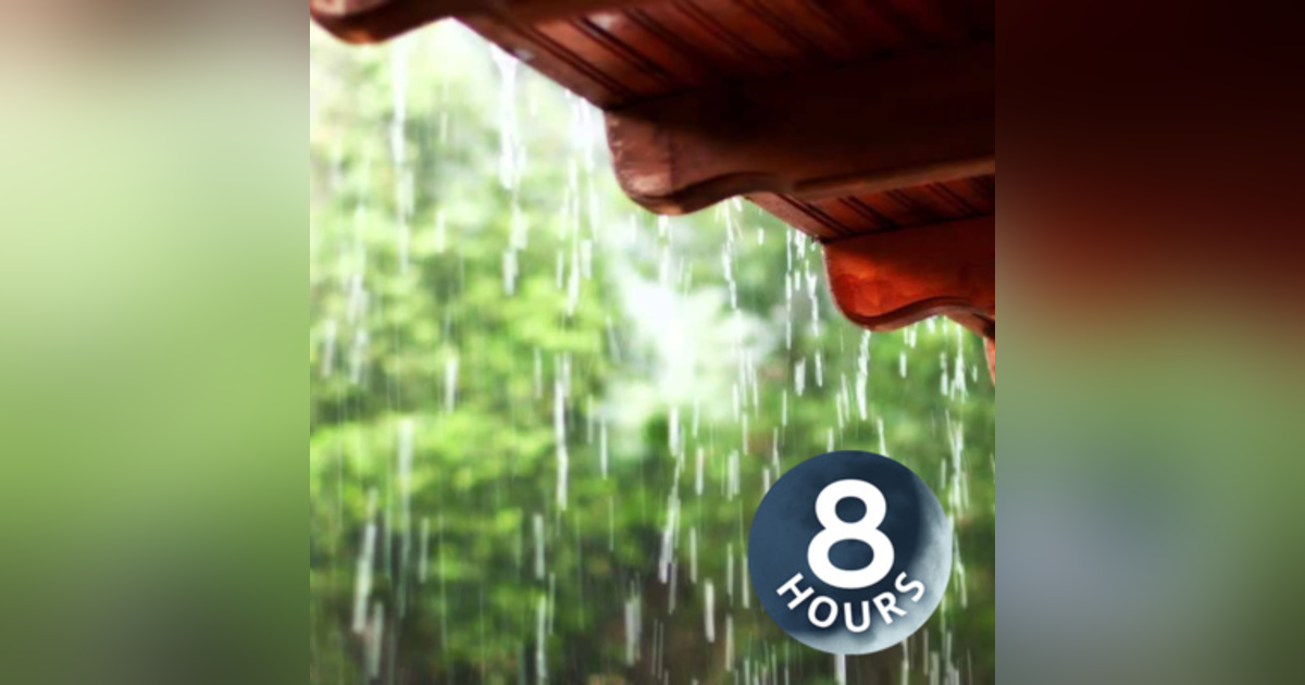 Rain on a Tin Roof 8 hours | Rainstorm White Noise for Sleep, Studying or Relaxation Rain on a Tin Roof 8 hours | Rainstorm White Noise for Sleep, Studying or Relaxation