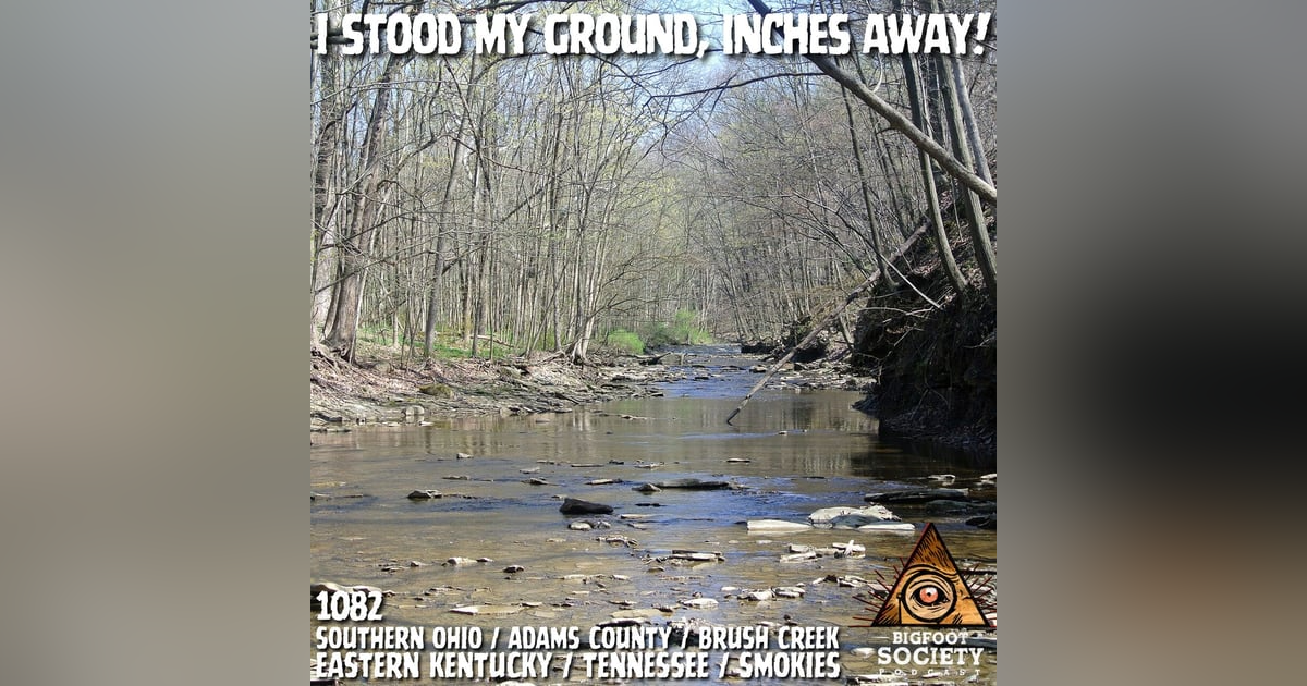 My Uncle Shot a Bigfoot… and It Didn’t Die My Uncle Shot a Bigfoot… and It Didn’t Die