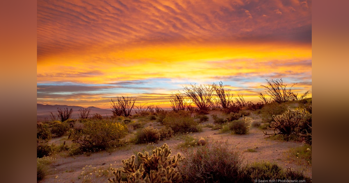 Why Does God Send Christians Into The Desert Wilds? #100 Reading Matthew 4 Why Does God Send Christians Into The Desert Wilds? #100 Reading Matthew 4
