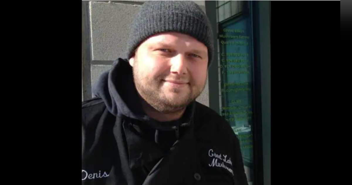 Ashley On - the Benefits of Mushrooms with Denis Vidmar, founder of the Mushroom Hub Ashley On - the Benefits of Mushrooms with Denis Vidmar, founder of the Mushroom Hub