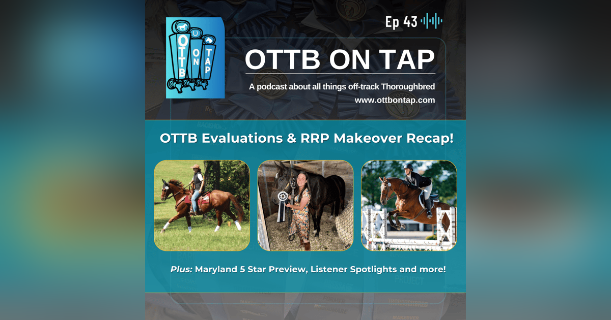 Ep 43: OTTB Evaluations and RRP Makeover Recap! Plus: Maryland 5 Star Preview,  Listener Spotlights, and more! Ep 43: OTTB Evaluations and RRP Makeover Recap! Plus: Maryland 5 Star Preview,  Listener Spotlights, and more!