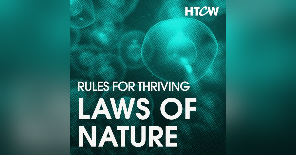 The Laws of Nature: 3 Rules Governing the Success of Any Organism, Idea & Technology The Laws of Nature: 3 Rules Governing the Success of Any Organism, Idea & Technology