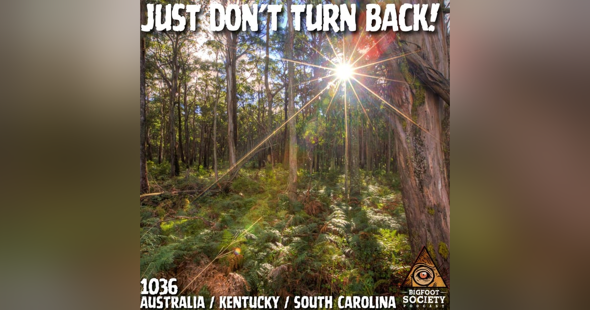 From Australia to Appalachia: Chilling Bigfoot Encounters Caught Live From Australia to Appalachia: Chilling Bigfoot Encounters Caught Live