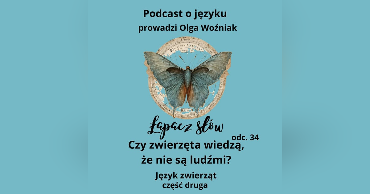 Czy zwierzęta wiedzą, że nie są ludźmi? Język zwierząt cz. 2 Czy zwierzęta wiedzą, że nie są ludźmi? Język zwierząt cz. 2