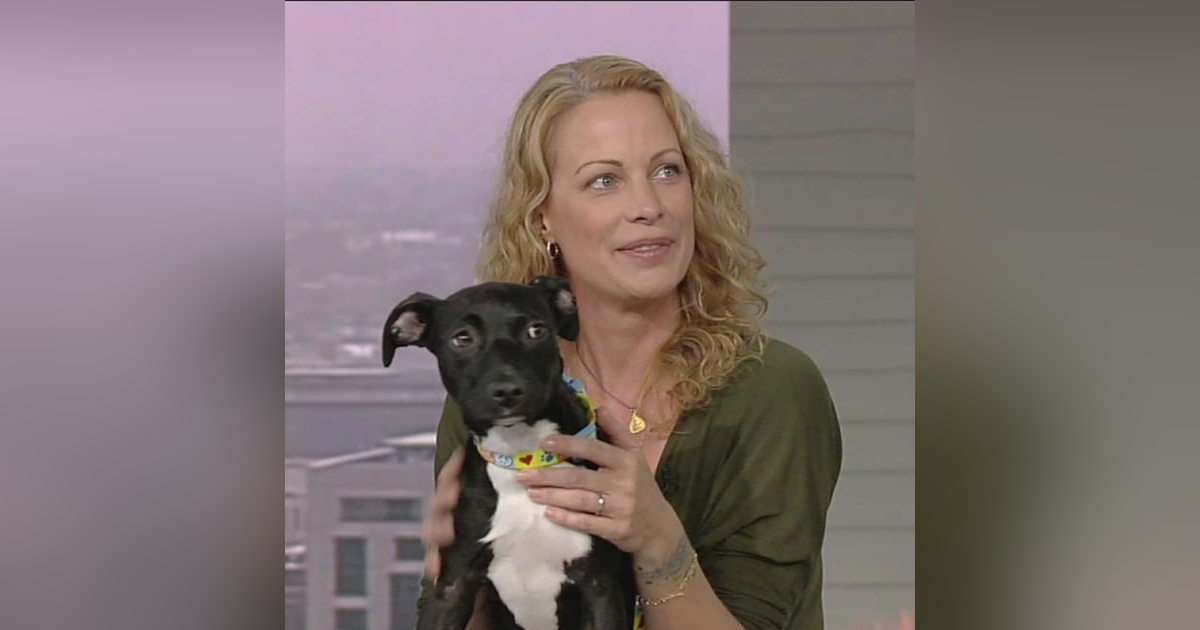 1281. Helping Pet Owners Afford Life-Saving Procedures - Alison Eastwood Talks Chimps 1281. Helping Pet Owners Afford Life-Saving Procedures - Alison Eastwood Talks Chimps