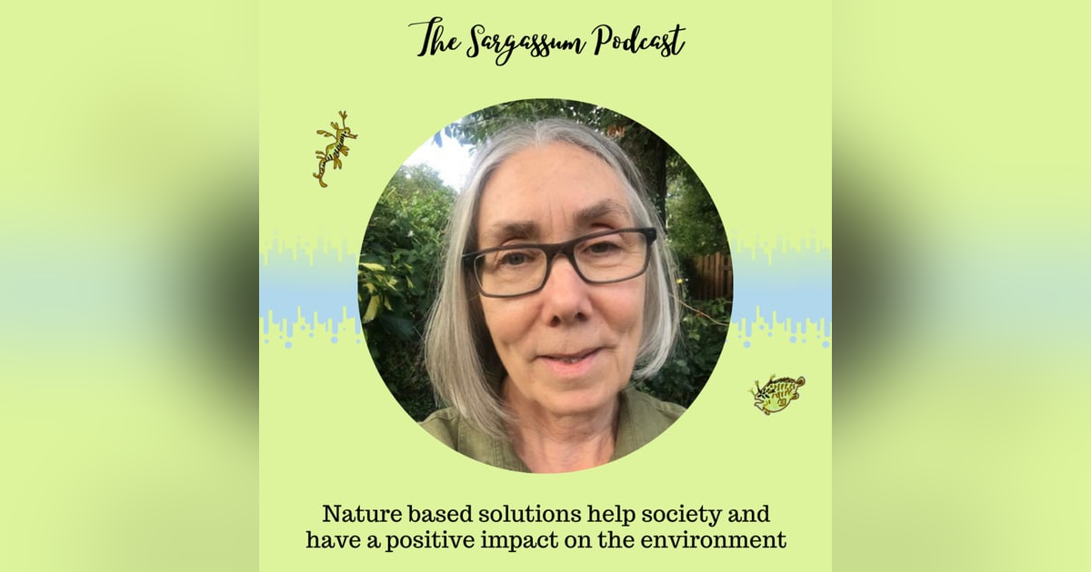 Episode 9: Nature based solutions and social impacts of Sargassum with Dr. Debbie Bartlett Episode 9: Nature based solutions and social impacts of Sargassum with Dr. Debbie Bartlett