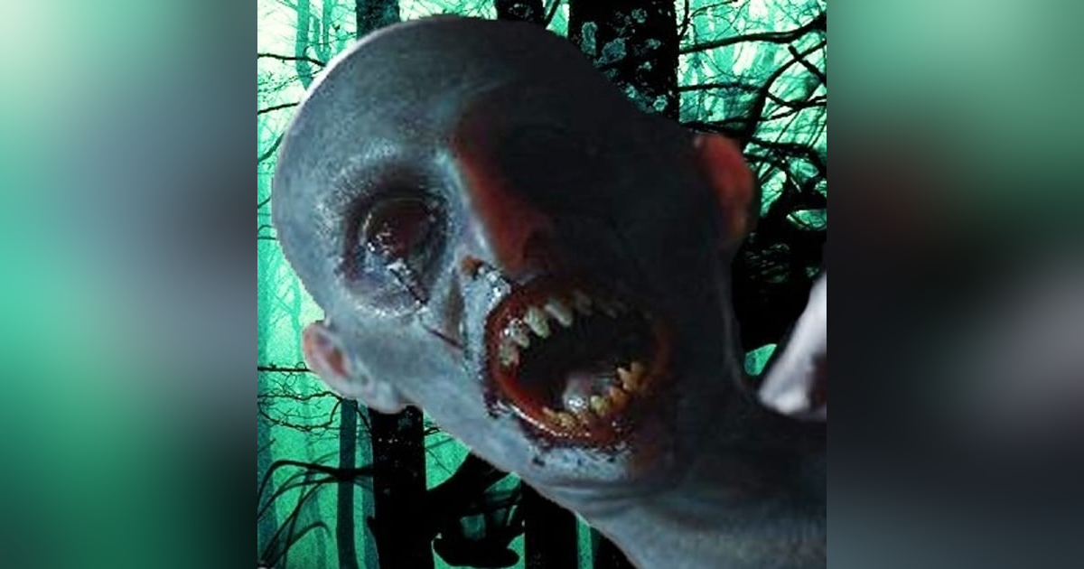 Recopilación De Bosques #2 Historias De Terror - REDE Recopilación De Bosques #2 Historias De Terror - REDE