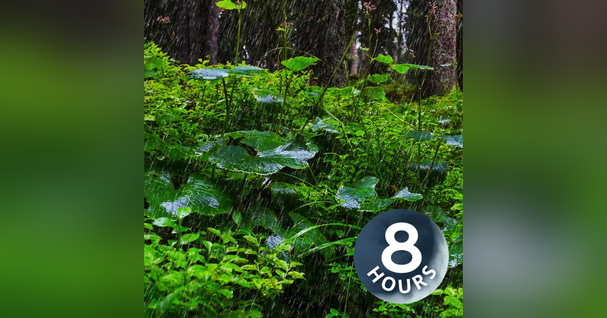 Sleep Sounds of Rain in Lush Forest | 8 Hour Relaxing Rainstorm Forest Sounds Sleep Sounds of Rain in Lush Forest | 8 Hour Relaxing Rainstorm Forest Sounds