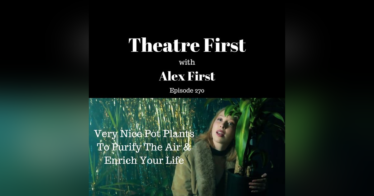 Very Nice Pot Plants To Purify The Air and Enrich Your Life (Theatre Works, Melbourne Australia) Very Nice Pot Plants To Purify The Air and Enrich Your Life (Theatre Works, Melbourne Australia)