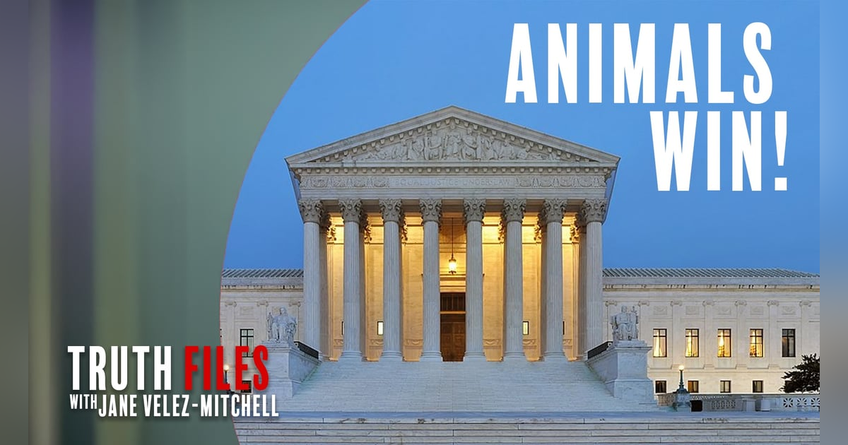 UnchainedTV's Truth Files: 5 Landmark Wins for Animal Rights You Need to Know UnchainedTV's Truth Files: 5 Landmark Wins for Animal Rights You Need to Know
