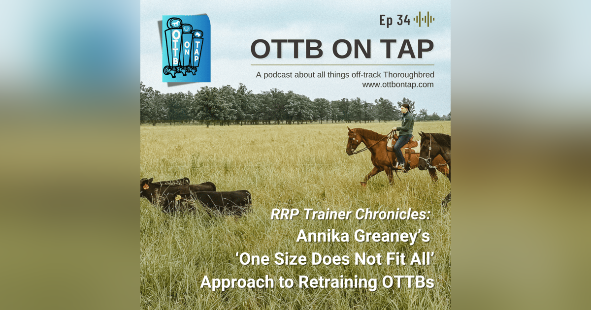 Ep 34: RRP Trainer Chronicles: Annika Greaney's 'One Size Does Not Fit All' Approach to Retraining OTTBs Ep 34: RRP Trainer Chronicles: Annika Greaney's 'One Size Does Not Fit All' Approach to Retraining OTTBs