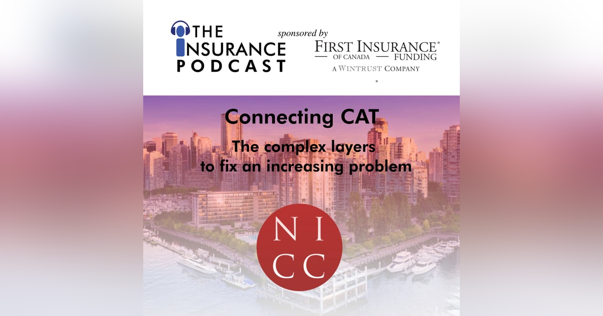 Connecting CAT:  Perspectives from leaders at NICC Connecting CAT:  Perspectives from leaders at NICC