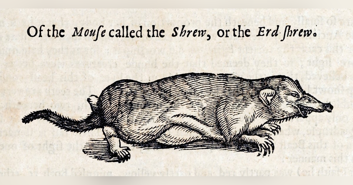 The Culture of The Shrew in Early Modern Europe: A Conversation with Dr Natalia Pikli The Culture of The Shrew in Early Modern Europe: A Conversation with Dr Natalia Pikli