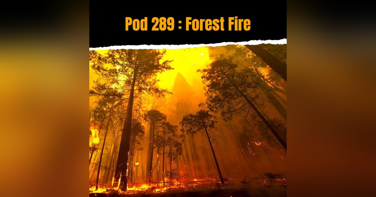Pod 289 : Forest Fire Pod 289 : Forest Fire