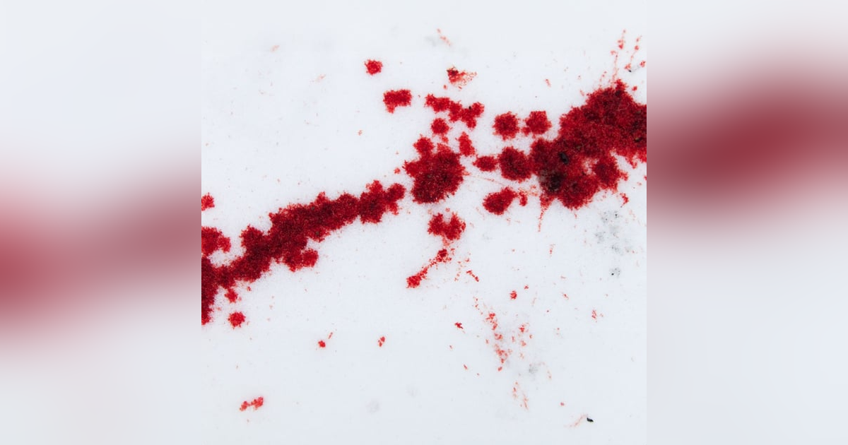 Ep.231 – A Christmas to Remember - The TRUE COST of the Perfect Gift! Ep.231 – A Christmas to Remember - The TRUE COST of the Perfect Gift!